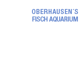 Aquarium OB